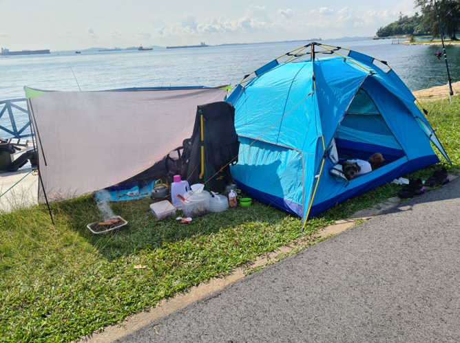 a blue tent pitched near the shore