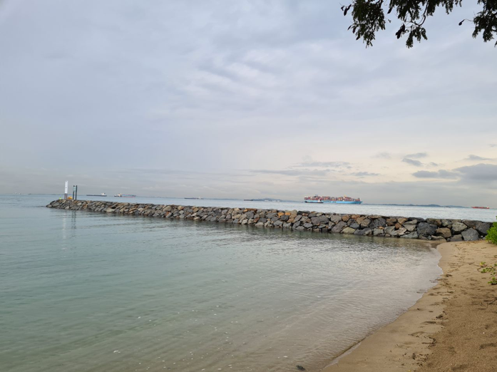 Shoreline at Sisters' Island