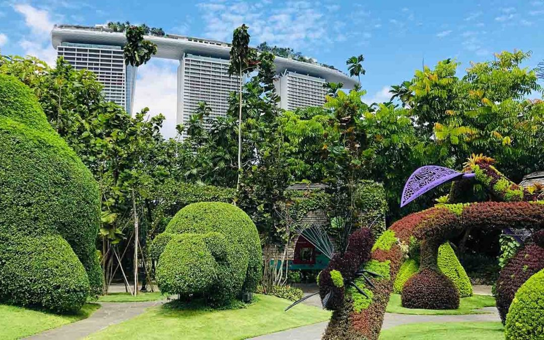 Singapore’s Sustainability: Our Garden City’s Green Efforts