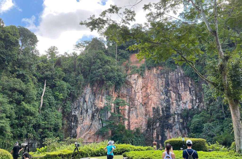 Singaporean Natural Beauties: Hiking Trails Review