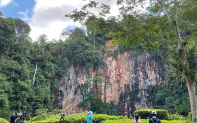 Singaporean Natural Beauties: Hiking Trails Review
