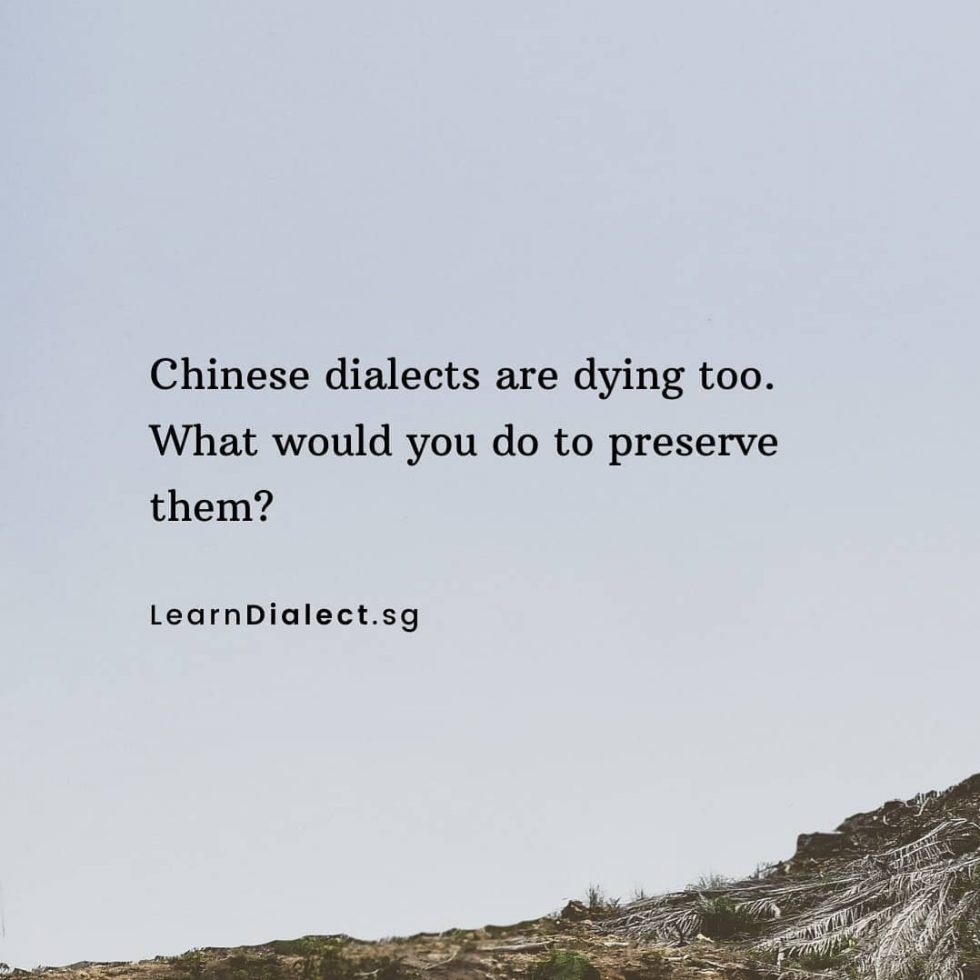 Singaporean Youths and their Chinese Dialects and Cultures Hype Singapore