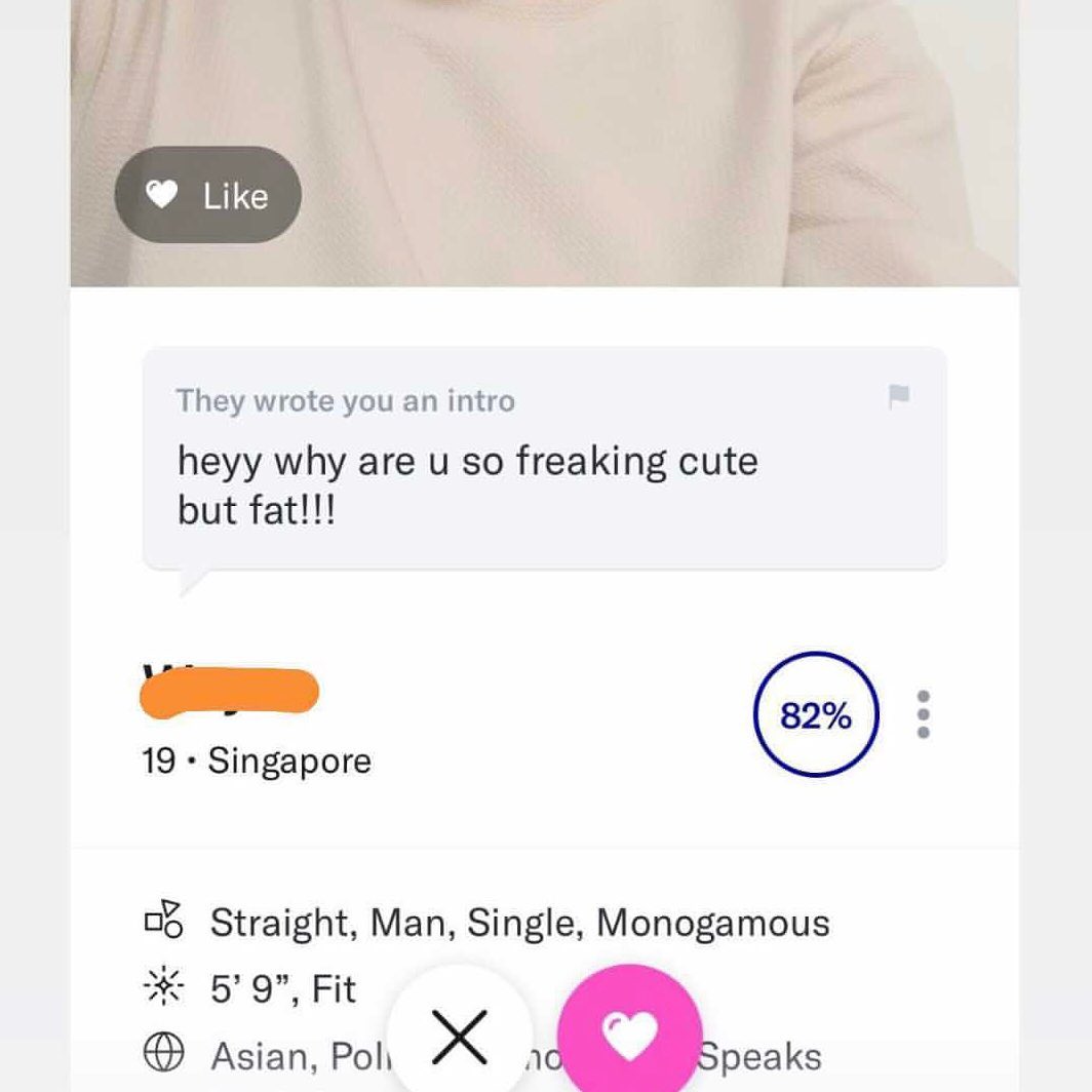 fat-shaming-incel-yourgirlfriendiswhosia-dating-apps