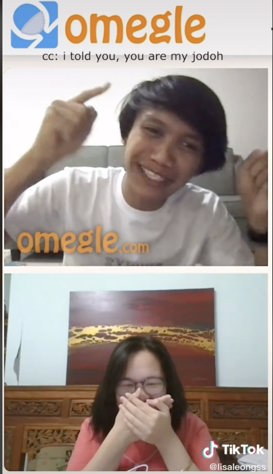 omegle-making-new-friends-strangers-travel-pickup-lines-lisa-leong-theomegler