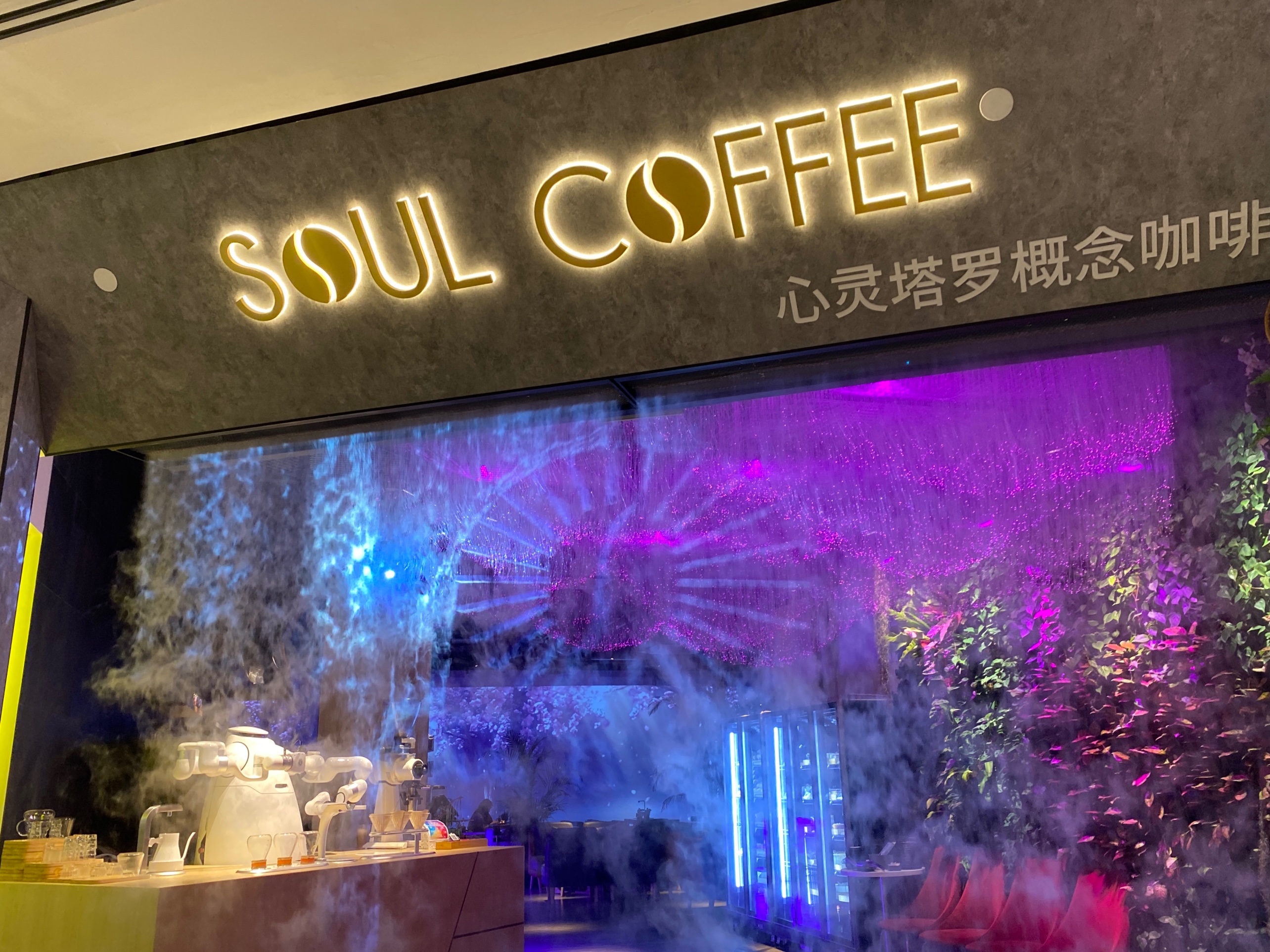 Where Coffee Meets Astrology: Soul Coffee Review