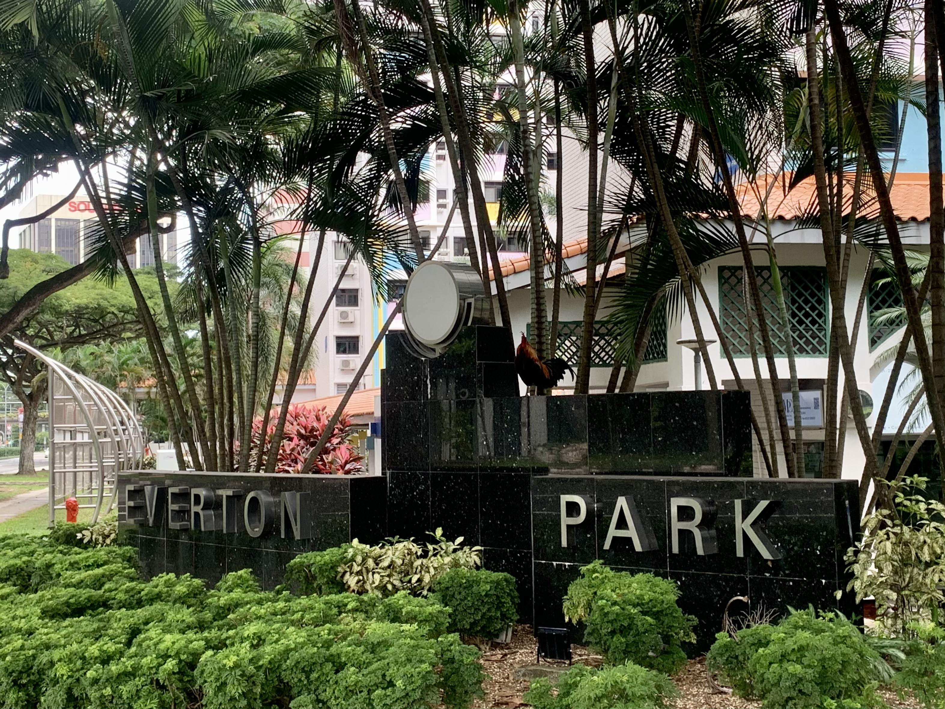 Visit Everton Park: A Home to Cosy Cafes - Hype Singapore