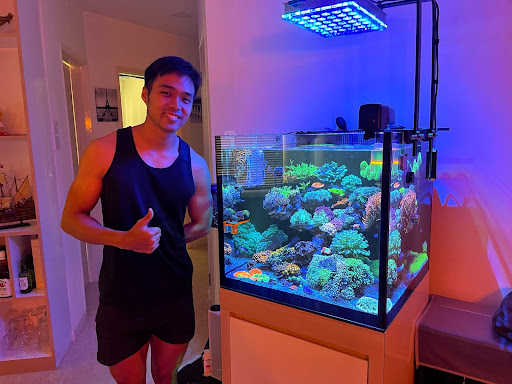 Hidden Hobbies: Diving Deep into Reef-Keeping
