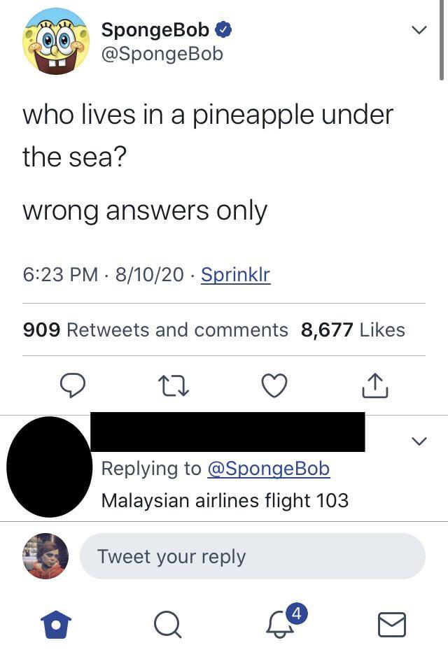 3. (optional) Spongebob MH370