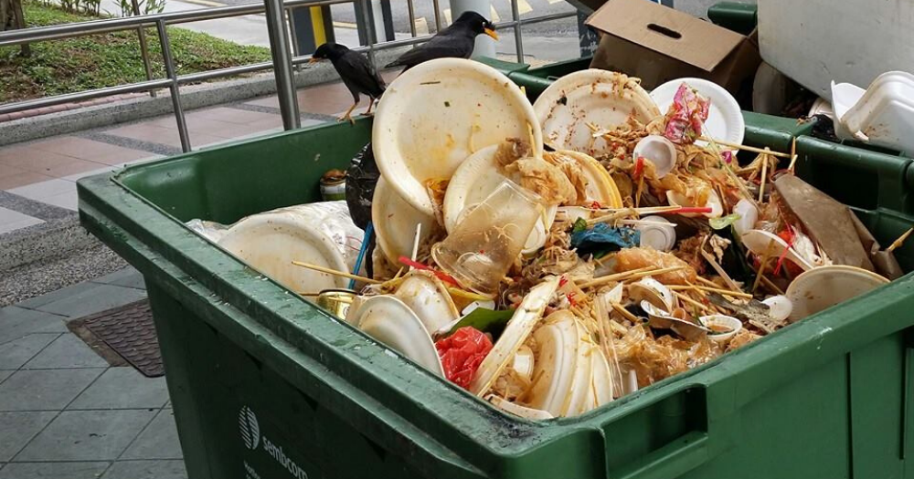 nea-survey-food-waste Pet Sitter